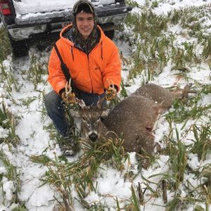 Meet your Posher, Trayce